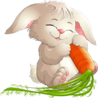 🥕 兔子, 胡萝卜, 动物, 可爱, 卡通 whatsapp sticker