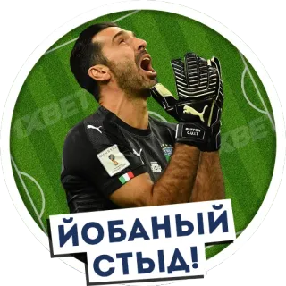 😭 ЙОБАНЫЙ СТЫД! Fußball, Torwart, Beleidigung, Fluch, Sport telegram sticker