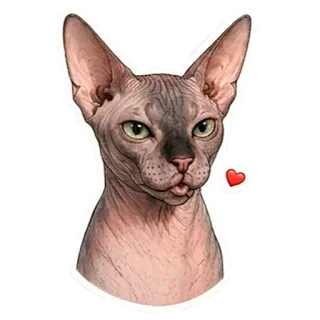 😘 Sphynx cat telegram sticker