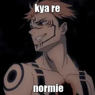 😑 kya re normie telegram sticker