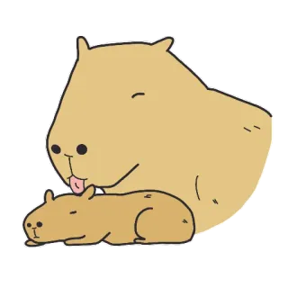 😋 capivara, roedor, fofo, animal, desenho animado telegram sticker