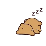 😴 ZZZ dormir, durmiendo, oso, zzz, dibujos animados, animal whatsapp sticker