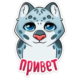 😊 привет cat, cute, snow leopard, hello, russian, greeting telegram sticker