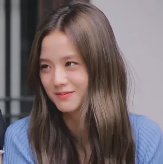 🐤 Jisoo kpop, blackpink, jisoo, celebridade, cantora, idol whatsapp sticker