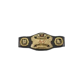 👑 TAG TEAM CHAMPION Catch, Championnat, Ceinture, Équipe telegram sticker
