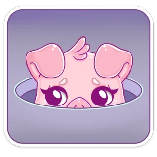 👀 Schwein, Tier, niedlich, Cartoon, Aufkleber telegram sticker