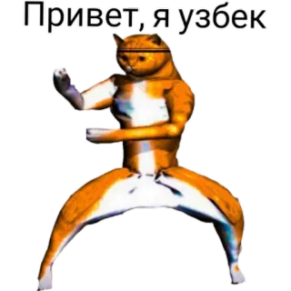 ✋ Привет, я узбек gatto, meme, divertente, saluto, uzbeko telegram sticker
