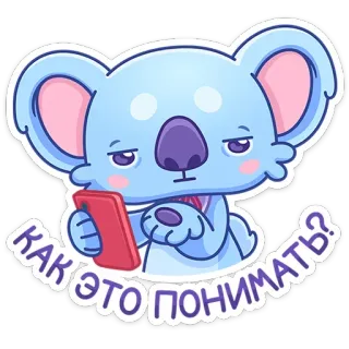 💁‍♂️ КАК ЭТО ПОНИМАТЬ? koala, adesivo, domanda, confuso, animale, carino, cartone animato, russo telegram sticker