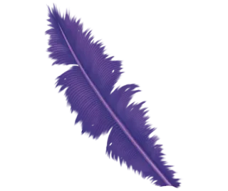 💜 feather, purple, decorative, nature, avian whatsapp sticker