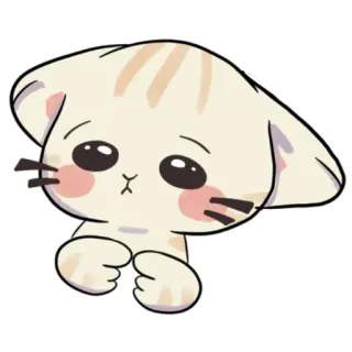 🥺 cat, kitten, cute, animal, pet, sticker, cartoon telegram sticker