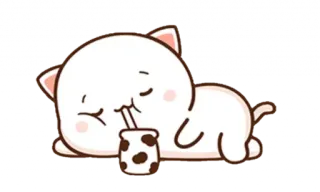 😽 고양이, 귀여운, 동물, 스티커, 카와이, 밀크티, 보바 telegram sticker