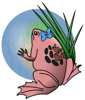 😢 frog, animal, cartoon, nature, whimsical, cute, amphibian telegram sticker