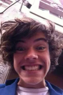 😁 Harry Styles portrait, person, celebrity, singer, harry styles telegram sticker