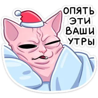 🥴 Опять эти ваши утры Katze, Sphinx, verschlafen, Morgen, lustig, süß, Meme, müde whatsapp sticker