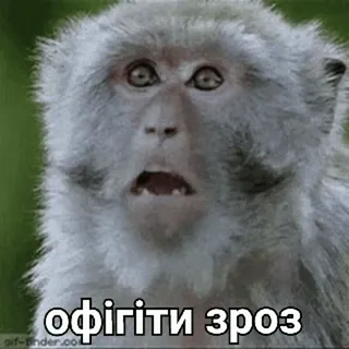 😯 офігіти зрозуміло macaco, chocado, surpresa, engraçado, ucraniano telegram sticker