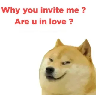 🌟 Doge Doge meme Why you invite me ? Are u in love ? doge, flirty, meme, shiba inu, smug, funny, chat telegram sticker