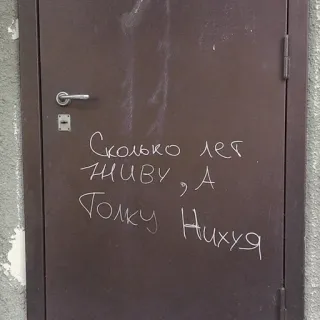 👨‍🎨 Сколько лет живу, А толку Нихуя ruso, puerta, graffiti, texto, ofensivo telegram sticker