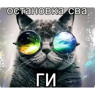 🫥 остановка сва ги chat, lunettes de soleil, russe, autocollant, animal telegram sticker