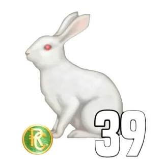 🐰 39 conejo, número 39, animal, conejo blanco, número de la suerte telegram sticker