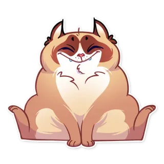 😊 gato, fofo, animal, adesivo whatsapp sticker