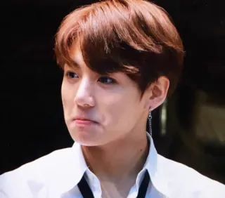 ☹ Jeon Jungkook K-pop, idol, Korean pop, BTS, Jungkook telegram sticker