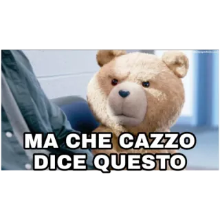 🤨 Ted MA CHE CAZZO DICE QUESTO テッド, クマ, 悪態, 攻撃的, イタリア語 telegram sticker