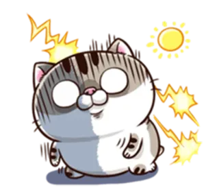😳 Katze, Schock, Sticker, Cartoon, süß, Tier, Blitz whatsapp sticker