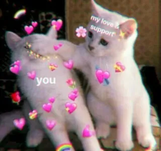 🍓 my love & support
you gatos, amor, apoyo, lindo, corazones, animales, cariño, amistad telegram sticker
