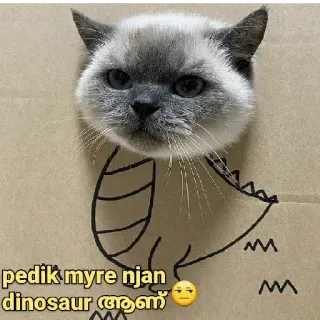 😂 pedik myre njan dinosaur ആണ്🤔 cat, dinosaur, box, animal, cute telegram sticker