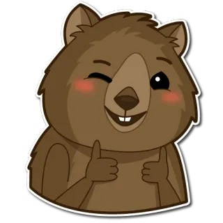 👍 quokka, animal, cute, wink, thumbs up, happy telegram sticker