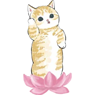 🌸 кот, средний палец, котенок, грубый, обидный telegram sticker