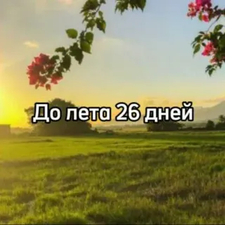 ☀️ До лета 26 дней verano, cuenta atrás, naturaleza, días, paisaje telegram sticker