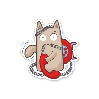 📞 gatto, telefono, animale, comunicazione, cartone animato, adesivo telegram sticker