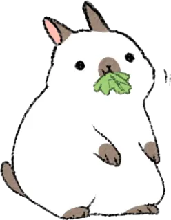 ☺️ Hase, Tier, süß, Haustier, Kaninchen, Blatt, essen, kawaii telegram sticker