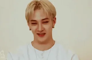😅 Bang Chan 方灿, 韩流, Stray Kids, 音乐, 歌手, 名人, 肖像 telegram sticker