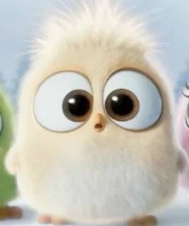 😍 kuiken, vogel, schattig, dier, fluffy whatsapp sticker