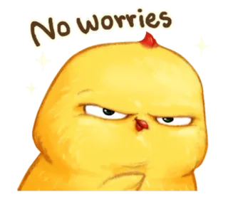 🐤 No worries galinha, animal, fofo, engraçado, desenho animado, adesivo, sem preocupações whatsapp sticker