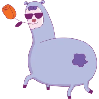 🌹 lama, okulary przeciwsłoneczne, kwiat, kreskówka, zwierzę, słodki whatsapp sticker