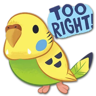 😉 TOO RIGHT! 鸟, 虎皮鹦鹉, 鹦鹉, 宠物, 可爱, 动物, 没错, 对 telegram sticker