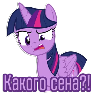 🤨 Twilight Sparkle My Little Pony Какого сена?! Pony, Cartoon, Twilight Sparkle, Sticker, verlegen, verwirrt telegram sticker