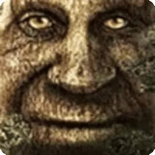 🌳