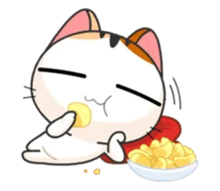 🍿 chat, manger, goûter, chips, dessin animé, mignon, drôle whatsapp sticker