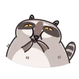 Racoon whatsapp stickers