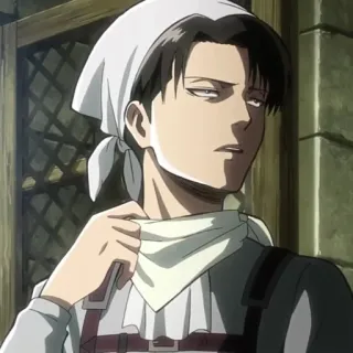 ✨ Levi Ackerman Attack on Titan Anime, Karakter, Membersihkan, Ibu rumah tangga telegram sticker