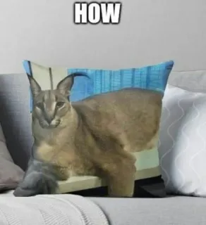 🐱 HOW Katze, Karakal, Meme, Floppa, Tier, Kissen telegram sticker