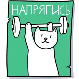 💪 НАПРЯГИСЬ cat, weightlifting, exercise, motivation, cartoon, dumbbell, fitness telegram sticker