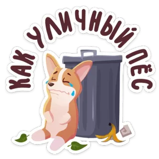 😰 КАК УЛИЧНЫЙ ПЁС corgi, cachorro, triste, lixo, cão de rua, animal whatsapp sticker