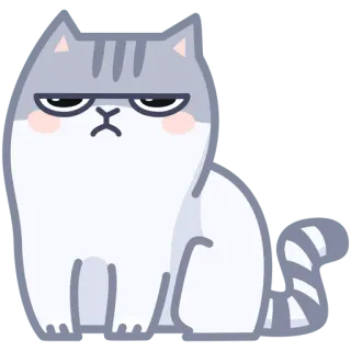 🤨 gato, bravo, rabugento, desenho animado, animal, doméstico telegram sticker