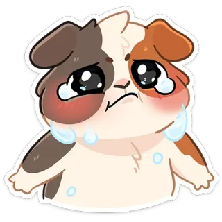 😥 cobaya, llorando, triste, animal, pegatina, lindo, lagrimoso telegram sticker