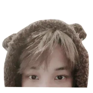 🐻 whatsapp sticker